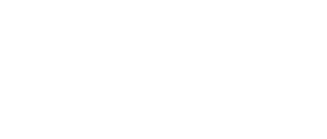 Professional Resume Writer